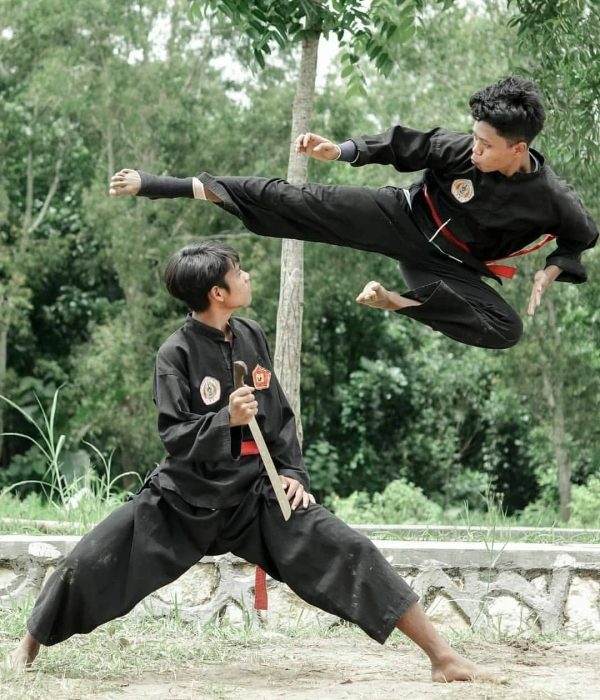 Pencak Silat